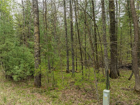 3rd image of Tbd Chokecherry Dr