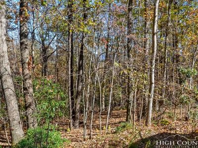 2 Little Laurel Rd, Boone, NC, 28607
