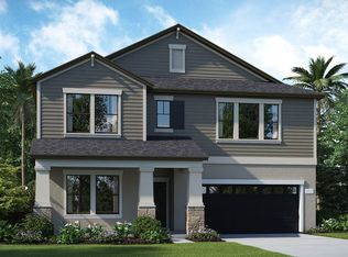 19334 Paddock View Dr, Tampa, FL 33647