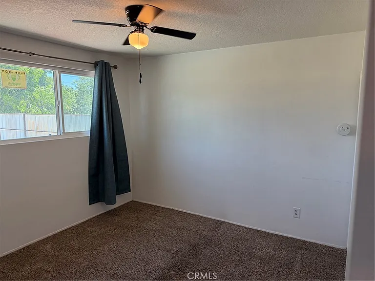 3941 Carmelina St — Photo 21