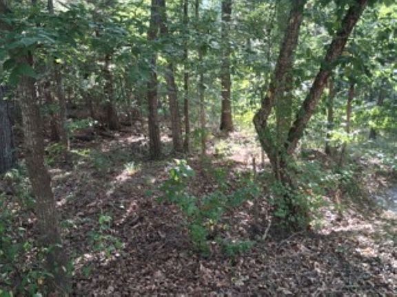 4th image of Summit Rdg
