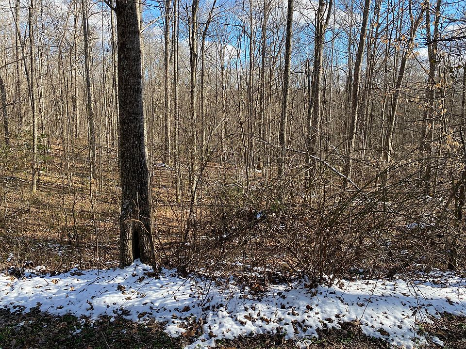 2nd image of Scarlet Oak Ln