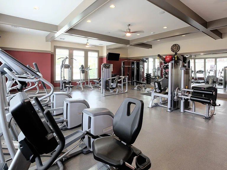 Fitness Studio Cardio and Free Weights