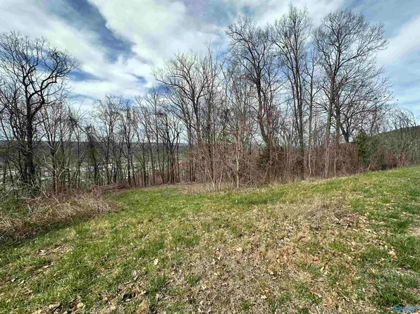 5 Rosewood Dr, Fort Payne, AL 35967