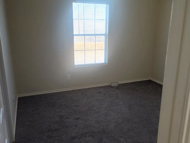 3007 Quiet Plain Dr — Photo 26
