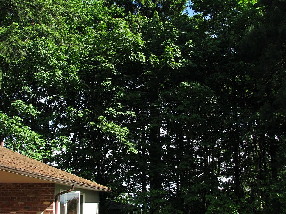 2nd image of 3920 SW Martins Ln