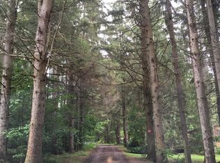 119 Earles Ln, Gilboa, NY 12076