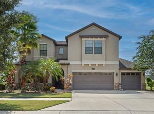 10605 Mistflower Ln, Tampa, FL 33647