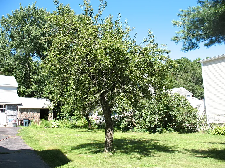 69 Suomi Rd #1 — Photo 10