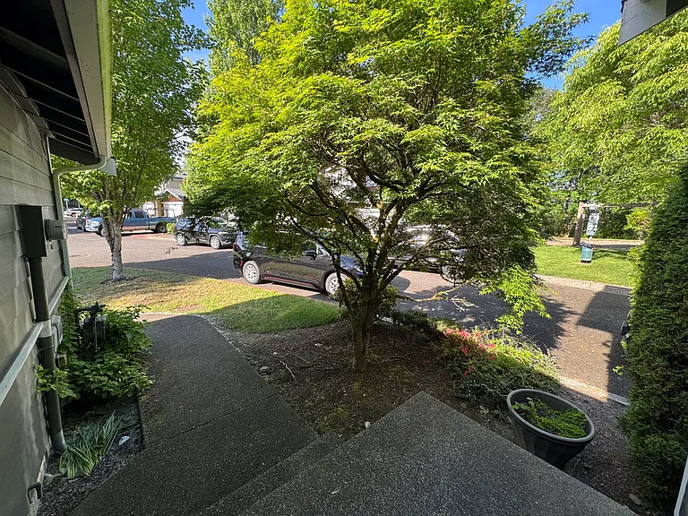11429 SE 171st Pl — Photo 59
