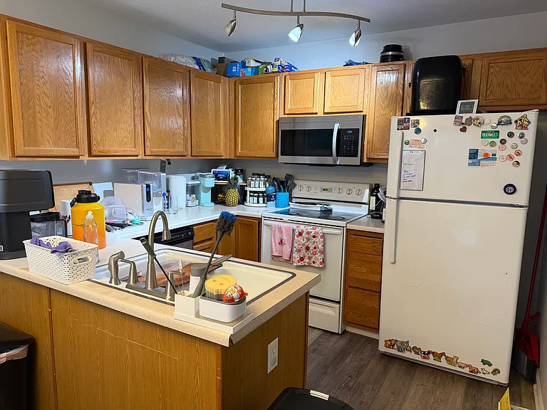 450 W 114th Pl — Photo 4