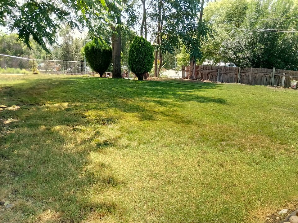 beautiful lawn