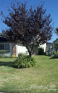 Street View, with unit stairway on the side\n