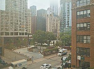 Actual View