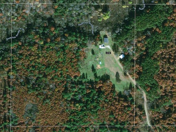 Fall colors & property line