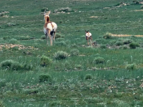 TRACT 363 Lake Hattie Vistas Dr, Laramie, WY 82070