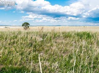 13645 Irish Hunter Trl, Elbert, CO 80106