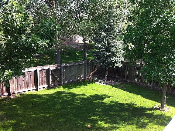 Backyard from deck view