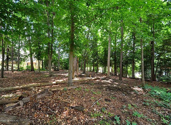 3rd image of 114 Edward Wyatt Dr