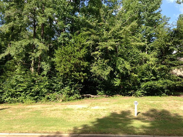 1st image of 41 Independent Hill Ln