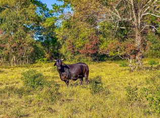 County Road 2090, Liberty, TX 77575