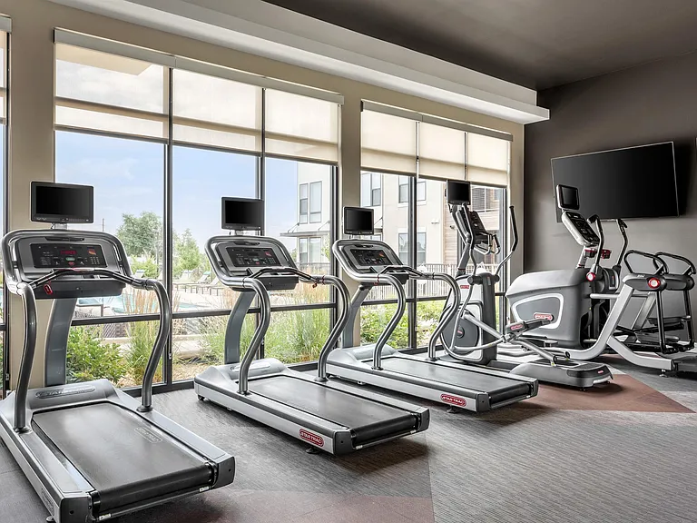 Fitness Studio with Cardio Machines and Expansive Windows