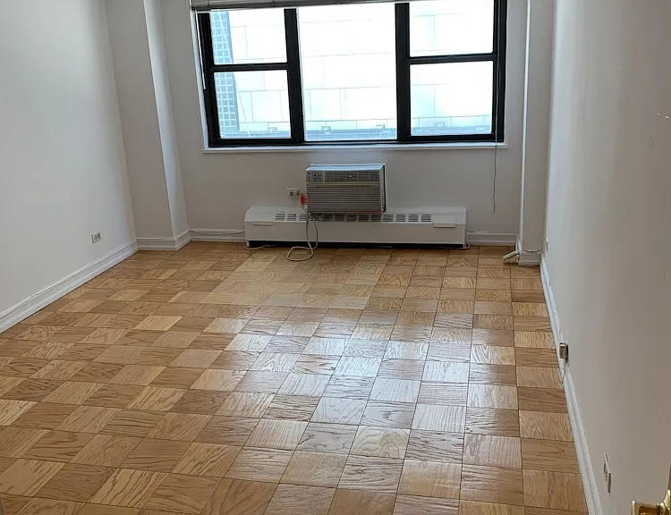 330 E 46th St #3O — Photo 8