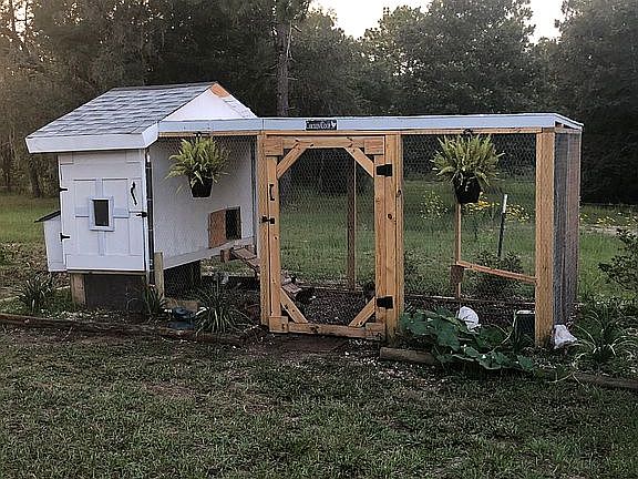 Chicken coop 