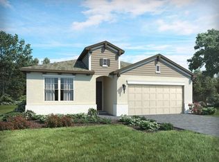 541 Bellissimo Pl, Howey In The Hills, FL 34737