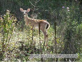 2nd image of 25549 Lakewood Ln