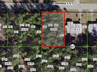 3344 E Murray St, Inverness, FL 34453