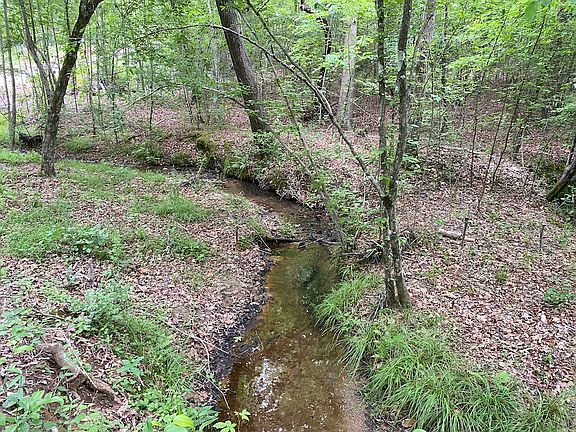 5th image of Kiser Rd Lot Wp009