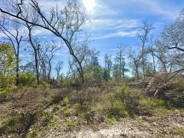 0 SE County Road 412, Mayo, FL 32066