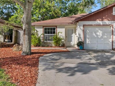2730 Langstaff Dr, Palm Harbor, FL, 34684