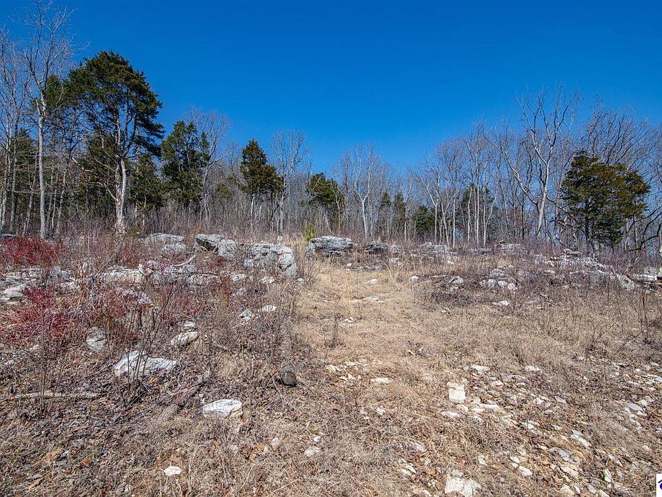 46th image of this home