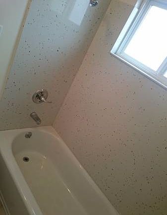 3rd image of 413 Huntington Ave #A