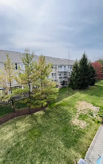 802 Firethorn Dr — Photo 3