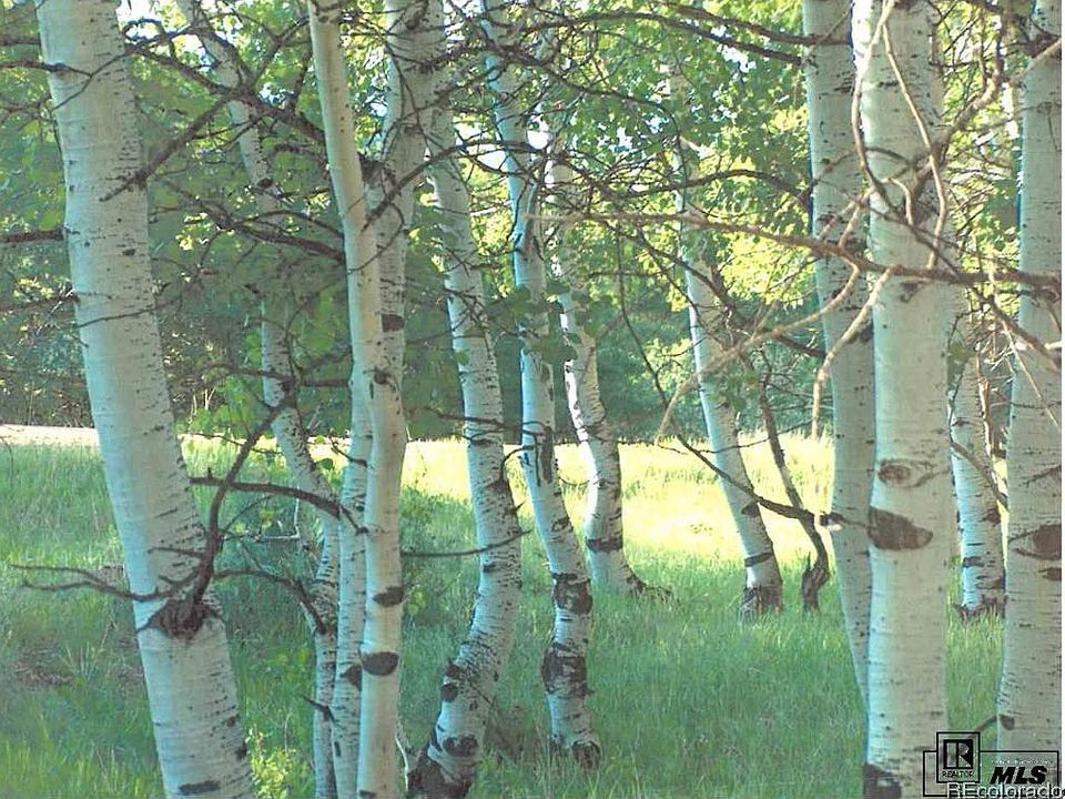 1st image of . County Road 179 Lot 24