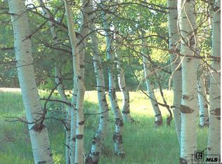 County Road 179 LOT 24, Steamboat Springs, CO 80487