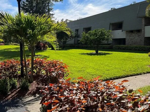 36750 Us Highway 19 N, Palm Harbor, FL