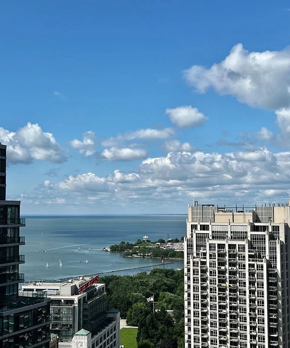 1 bed, $2,300 — Photo 3