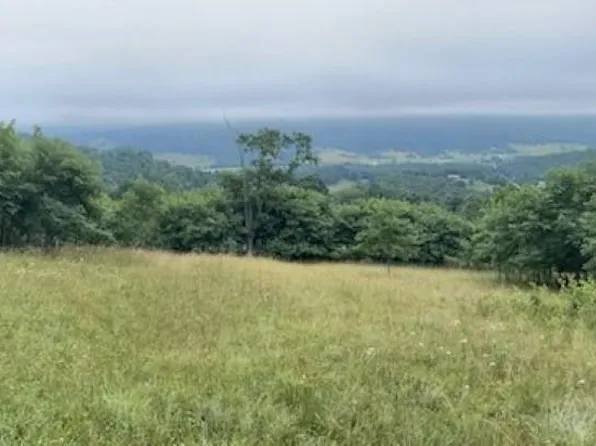 Tbd Mountain Tpke, Monterey, VA 24465