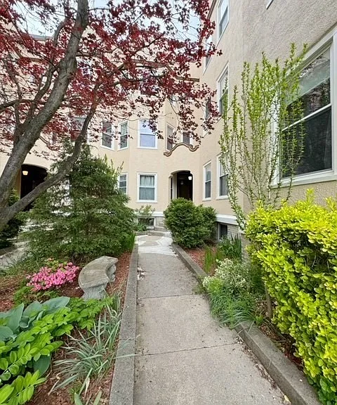 57 Magazine St #3 — Photo 19