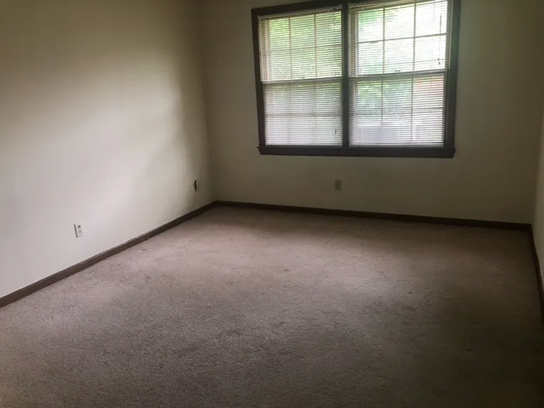 121 Williamson St — Photo 5