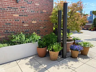 Rented by Brown Harris Stevens