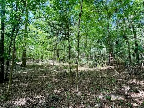 0 Old Crystal River Rd, Brooksville, FL 34601