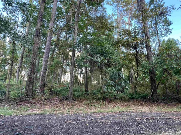 15 & 16 Partridge Ln, Monticello, FL 32344