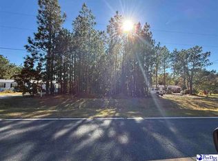 84 Holly Ave, Mc Bee, SC 29101