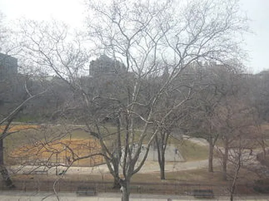 Rented by Citi Habitats | media 17