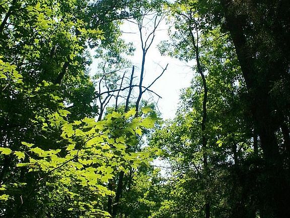 ENJOY THE VIEWS OF THE BLUE RIDGE MOUNTAINS